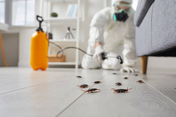 Commercial Kitchen Cockroach Control in North Corbin